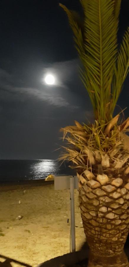 Sea View Apartments Aphrodite Leptokarya  Exteriör bild